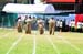 DSC_1273-1 (192)